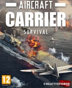 Aircraft Carrier Survival