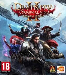 Divinity: Original Sin 2 Definitive Edition