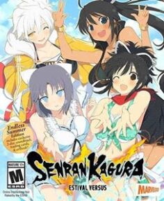 Senran Kagura: Estival Versus