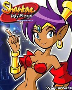Shantae: Risky's Revenge - Director's Cut