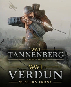Verdun and Tannenberg